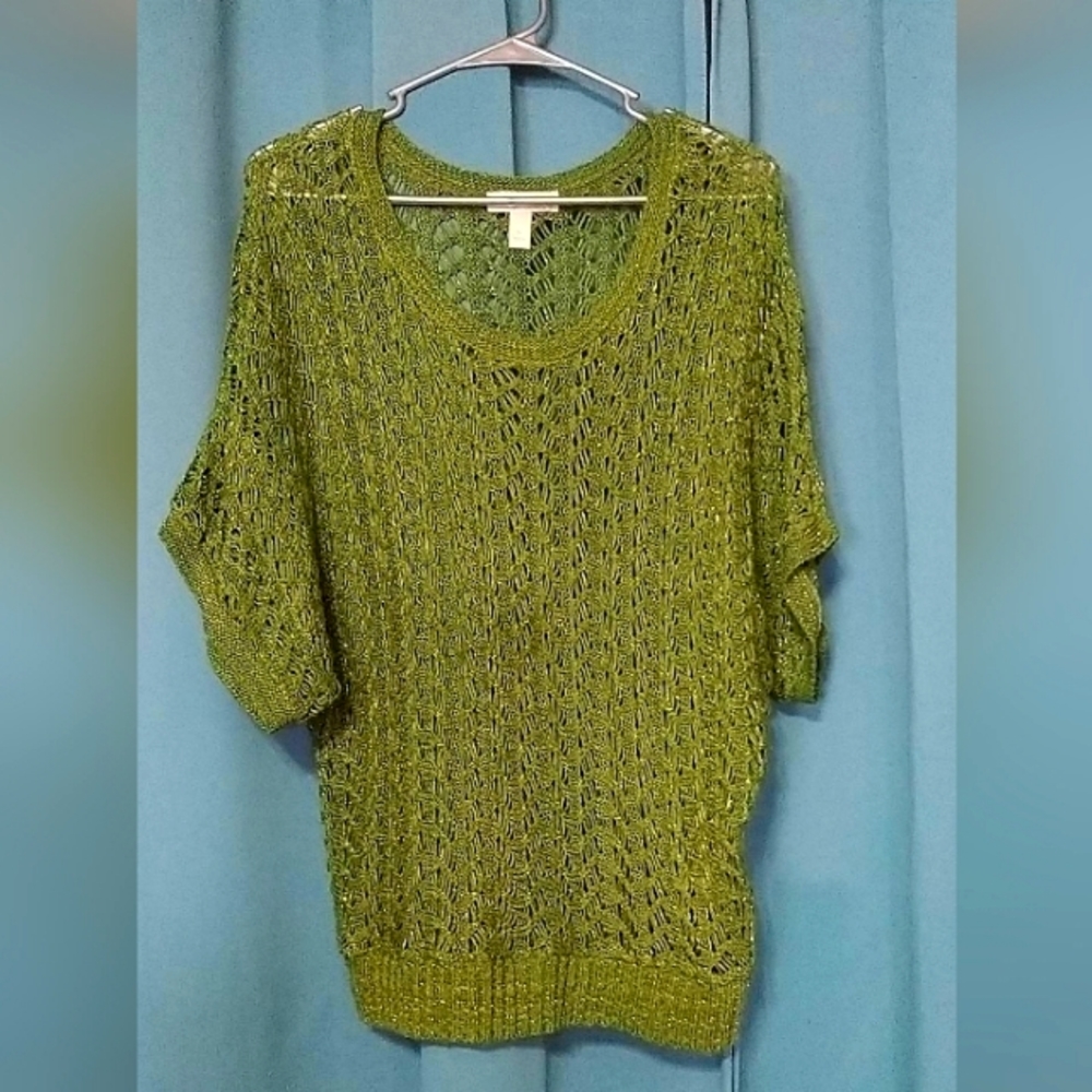 DressBarn Women's Green Scoop Neck sweater.